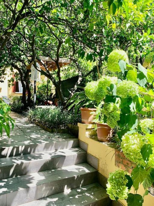Apartament Casa Adele Monterosso al Mare Zewnętrze zdjęcie
